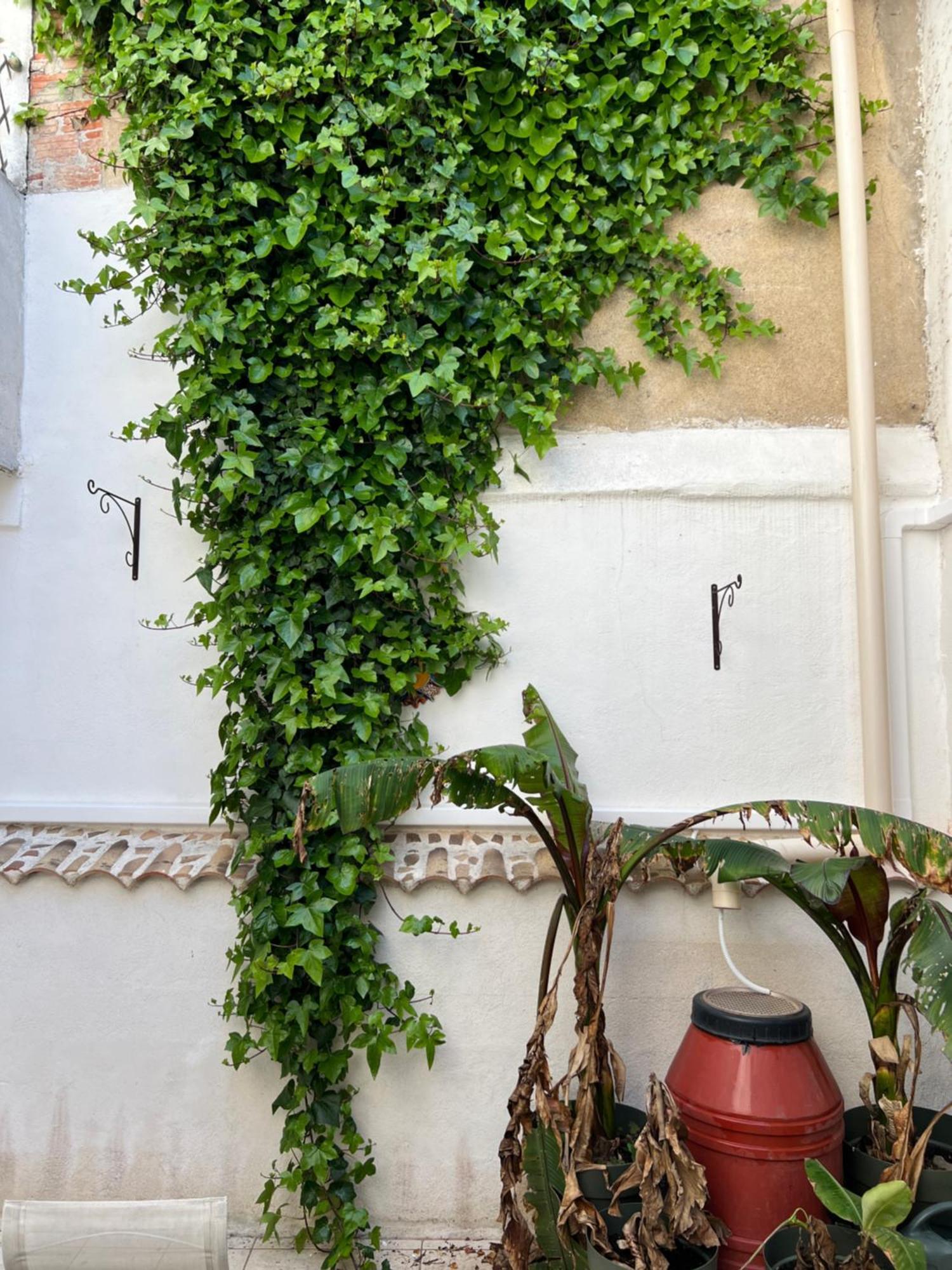 Appartement Centre 3 Chambres, Patio Prive, Garage, Linge Et Menage Inclus *